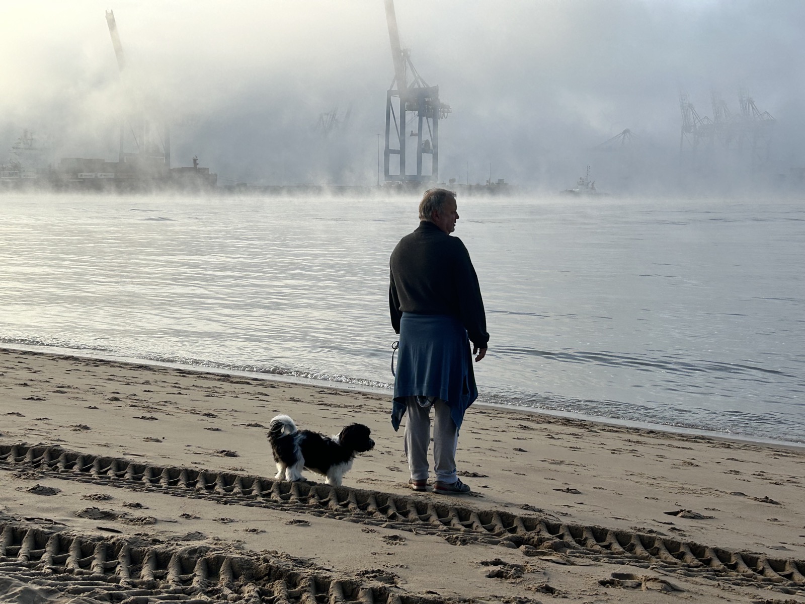 Havaneser Spaziergang am Elbstrand mit Hafenblick